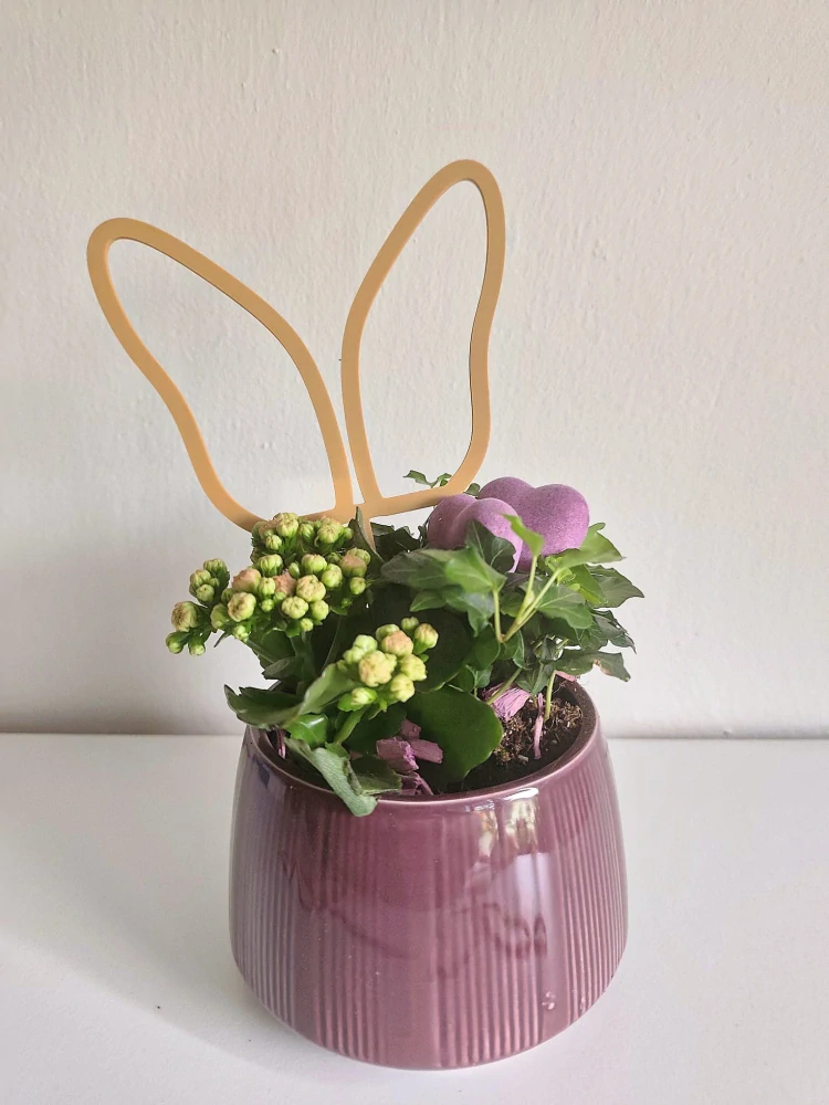 Zápich Zaječí uši / Motýl 18 cm